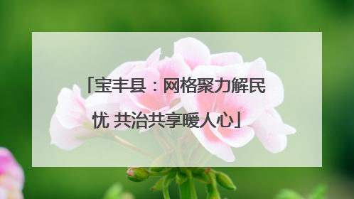 宝丰县：网格聚力解民忧 共治共享暖人心