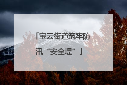 宝云街道筑牢防汛“安全堤”