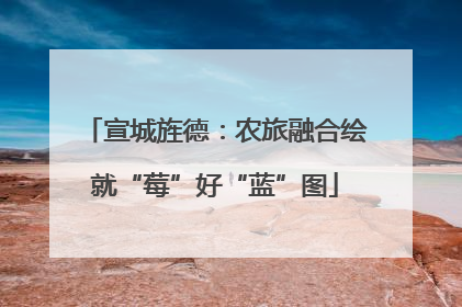 宣城旌德：农旅融合绘就“莓”好“蓝”图