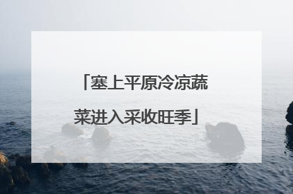 塞上平原冷凉蔬菜进入采收旺季