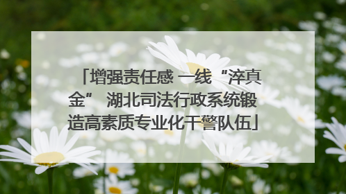 增强责任感 一线“淬真金” 湖北司法行政系统锻造高素质专业化干警队伍