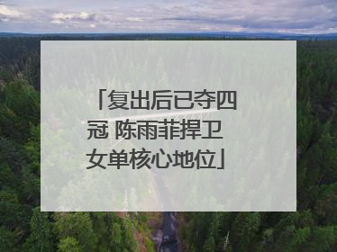 复出后已夺四冠 陈雨菲捍卫女单核心地位
