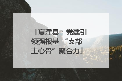 夏津县：党建引领强根基 “支部主心骨”聚合力