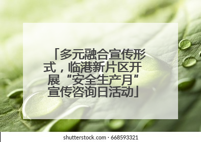 多元融合宣传形式，临港新片区开展“安全生产月”宣传咨询日活动