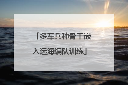 多军兵种骨干嵌入远海编队训练