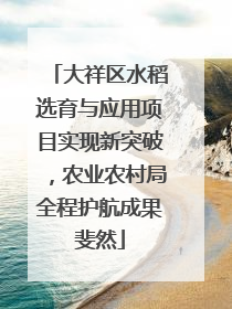 大祥区水稻选育与应用项目实现新突破，农业农村局全程护航成果斐然