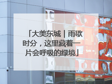 大美东城｜雨歇时分，这里藏着一片会呼吸的绿境
