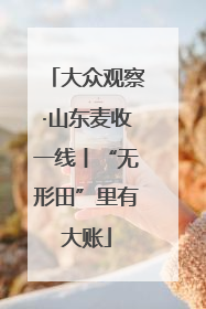 大众观察·山东麦收一线丨“无形田”里有大账