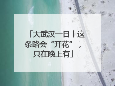 大武汉一日丨这条路会“开花”，只在晚上有