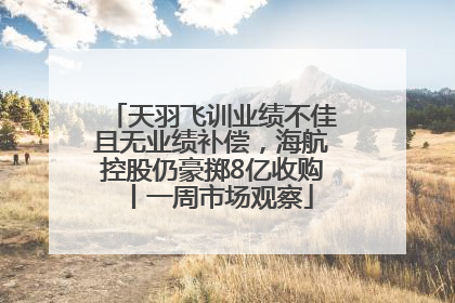 天羽飞训业绩不佳且无业绩补偿，海航控股仍豪掷8亿收购丨一周市场观察