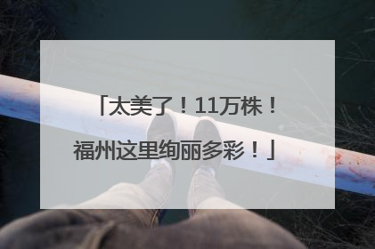 太美了！11万株！福州这里绚丽多彩！
