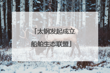 太钢发起成立船舶生态联盟