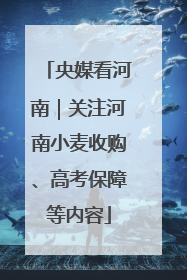 央媒看河南｜关注河南小麦收购、高考保障等内容