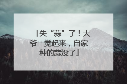 失“蒜”了！大爷一觉起来，自家种的蒜没了