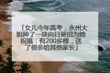 女儿今年高考，永州大姐种了一块向日葵田为她祝福：有200多棵，送了很多给其他家长
