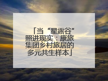当“星露谷”照进现实：康旅集团乡村旅居的多元共生样本