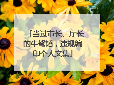 当过市长、厅长的牛弩韬，违规编印个人文集