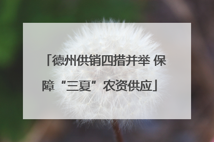 德州供销四措并举 保障“三夏”农资供应