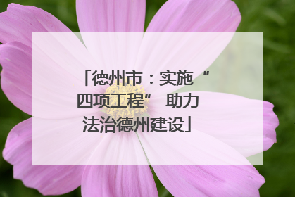德州市：实施“四项工程” 助力法治德州建设