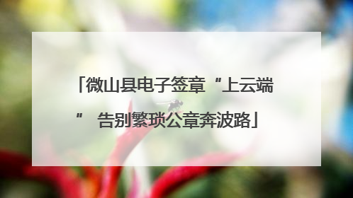 微山县电子签章“上云端” 告别繁琐公章奔波路