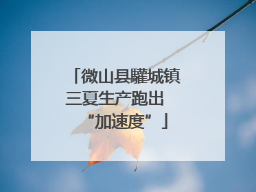 微山县驩城镇三夏生产跑出 “加速度”