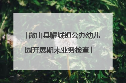 微山县驩城镇公办幼儿园开展期末业务检查