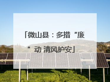 微山县：多措“廉”动 清风护安
