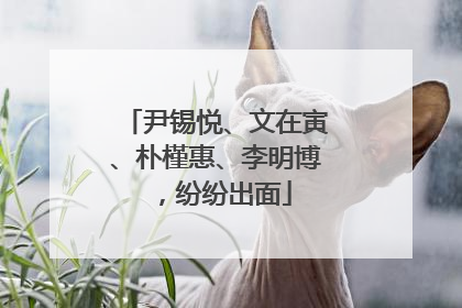 尹锡悦、文在寅、朴槿惠、李明博，纷纷出面