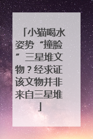 小猫喝水姿势“撞脸”三星堆文物？经求证该文物并非来自三星堆