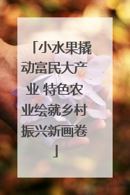 小水果撬动富民大产业 特色农业绘就乡村振兴新画卷