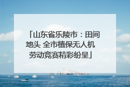 山东省乐陵市：田间地头 全市植保无人机劳动竞赛精彩纷呈