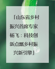 山东省乡村振兴首席专家杨飞：科技创新点燃乡村振兴新引擎