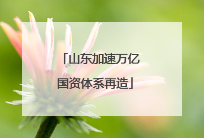 山东加速万亿国资体系再造