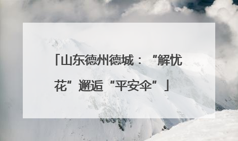 山东德州德城：“解忧花”邂逅“平安伞”