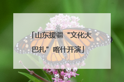 山东援疆“文化大巴扎”喀什开演