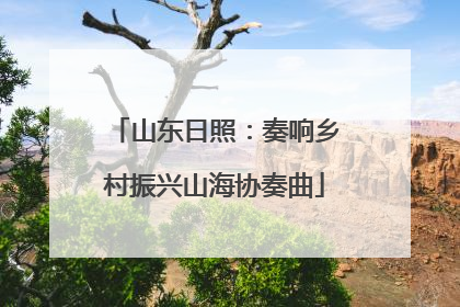 山东日照：奏响乡村振兴山海协奏曲