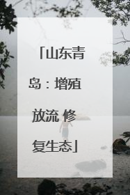 山东青岛：增殖放流 修复生态