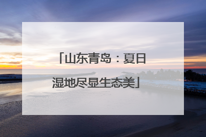 山东青岛：夏日湿地尽显生态美