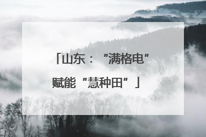 山东：“满格电”赋能“慧种田”