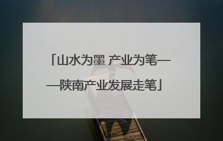 山水为墨 产业为笔——陕南产业发展走笔