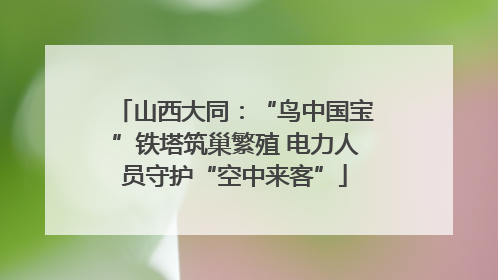 山西大同：“鸟中国宝”铁塔筑巢繁殖 电力人员守护“空中来客”