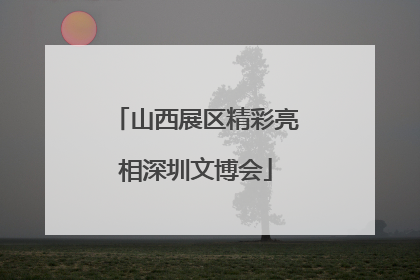 山西展区精彩亮相深圳文博会