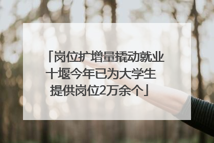 岗位扩增量撬动就业 十堰今年已为大学生提供岗位2万余个