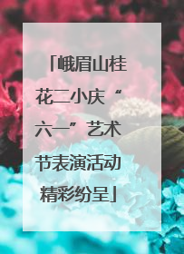 峨眉山桂花二小庆“六一”艺术节表演活动精彩纷呈