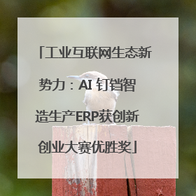 工业互联网生态新势力：AI 钉铛智造生产ERP获创新创业大赛优胜奖