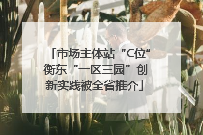 市场主体站“C位” 衡东“一区三园”创新实践被全省推介