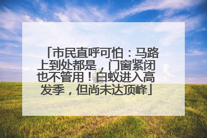 市民直呼可怕：马路上到处都是，门窗紧闭也不管用！白蚁进入高发季，但尚未达顶峰