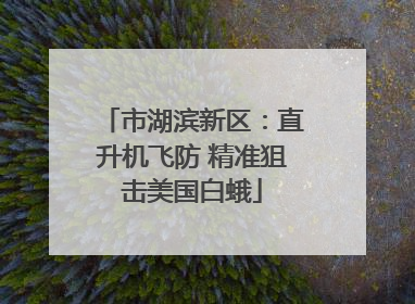 市湖滨新区：直升机飞防 精准狙击美国白蛾