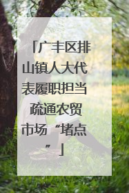 广丰区排山镇人大代表履职担当 疏通农贸市场“堵点”