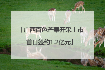 广西百色芒果开采上市 首日签约1.2亿元
